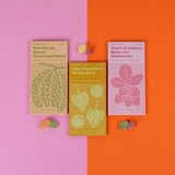 Piccolo Seeds Set semen nenavadnih plodov - 1 set. | Shoptok.si