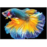 Puzzle 250 KOM COLORFUL NATURE 6 FISH INTERDRUK | Shoptok.si