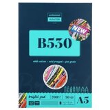 Professional master b bristol blok za crtanje - odaberite format b530 - 200g 30 lista a5 ( 617127 ) | ePonuda.com