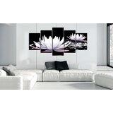  Slika - Passing beauty 200x100 | shoptok.hr