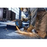 Bosch EXWS30-230PB ugaona brusilica expert 06018G1101 | Eponuda.com