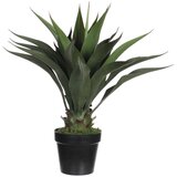 MICA AGAVA V ZELENEM LONCU - H60XD25CM Cene