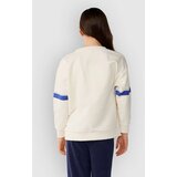 Rip Curl Archive Dolphin Crew Kids Pulover bone | Shoptok.si