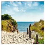 ProArt Slika na platnu (Summer Breeze I, Š x V: 40 x 40 cm) | Shoptok.si