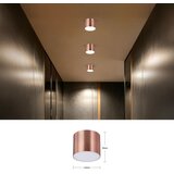  Immax NEO 07319L - LED prigušiva RONDATE plafonsko svetlo 18W/230V 11,5 cm Wi-Fi Tuya ružičasta | Eponuda.com
