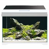  Akvarijum Amtra Modern 40 led | Eponuda.com