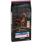 Purina PRO PLAN Large Athletic Adult Sensitive Skin losos - 16 kg Cijene