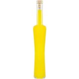  Staklena boca QUADRA 500 ml sa čepom | shoptok.hr