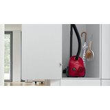 Bosch Sesalnik z vrečko BGBS2RD1 | Shoptok.si