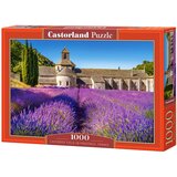 Castorland puzle od 1000 delova lavender field in provence Cene