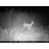 OXE Fotozamka Gepard II, lovački detektor i metalna kutija + 32GB SD karta i 6 kom baterija! | shoptok.hr