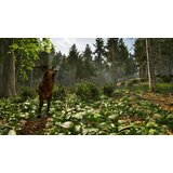 Aerosoft Park Ranger Simulator (Playstation 5) | shoptok.hr