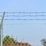 vidaXL Bodljikava žica Zelena 50 m Čelik vruće galvaniziran u