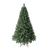  novogodišnja jelka Oxford Pine 210cm Cene'.'