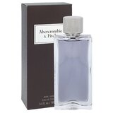 Abercrombie & Fitch First Instinct toaletna voda 100 ml za moške Cene