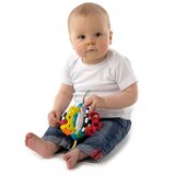 Playgro Raziskovalna žogica 4082426 | Shoptok.si