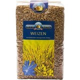 BioKing Bio pšenica cela Cene