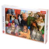 Trefl 10555 puzzle Sestavljanka 1000 kos Ostalo u