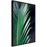  Poster - Soothing Green 30x45 Cijene
