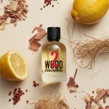 Dsquared2 2 Wood Eau De Toilette 30 ml (unisex) | shoptok.hr