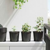  Lonac za cvijeće 50 pcs Crna Ø 15 x 13 cm Plastika | shoptok.hr