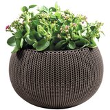 Keter Plastična viseća i zidna posuda za cvijeće ø 36 cm Cozy – | shoptok.hr