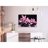 Slika za samostalno slikanje - Pink Orchid (Black Background) 60x40 | shoptok.hr