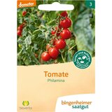  Paradižnik "Philamina" - 1 pkt. | Shoptok.si