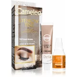 Delia Cosmetics Cameleo profesionalna kremasta barva za obrvi brez amoniaka odtenek 3.0 Dark Brown 15 ml