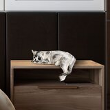 Aberto Design dekorativna figura Cat, Bela Cene