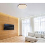 Globo stropna led-svetilka 45/8,5 cm | Shoptok.si