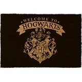 HARRY POTTER (WELCOME TO HOGWARTS) BLACK 37X55CM DOOR MAT