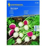 KIEPENKERL Profi-Line Sjeme povrća Red meat (Raphanus sativus, Berba: Travanj, 4 m²) | shoptok.hr