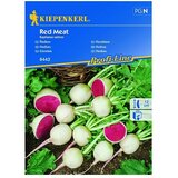 KIEPENKERL Profi-Line Zelenjavna semena Redkev Red meat (Raphanus sativus, Čas žetve: April, 4 m²) | Shoptok.si
