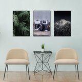 MID.YOU Stol Velvo, Bež | Shoptok.si