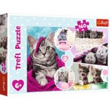Trefl 15371 puzzle Sestavljanka 160 kos Živali | Shoptok.si