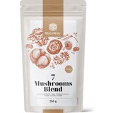  7 Mushrooms Blend - 250 g | Shoptok.si