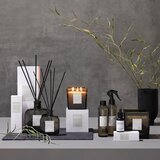 Inscent Dišava Za Prostor Aquatic Freshness | Shoptok.si