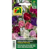 Mešanica dišečega grahora Floribunda Cene