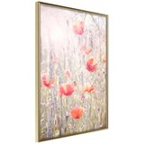  Poster - Poppies 30x45 | shoptok.hr