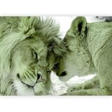 Artgeist Fototapeta Lion Tenderness, 450x315cm | Shoptok.si