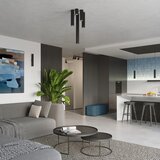 Nice Lamps Črna stropna svetilka Gleam – | Shoptok.si