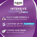 Schwarzkopf Intensive Color farba za kosu 12.21 silver ash blond | ePonuda.com