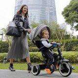 Qplay Rito Eva 4u1 Sklopivi tricikl | Eponuda.com