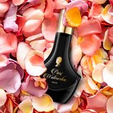 Pani Walewska Noir parfumska voda za ženske 30 m | Shoptok.si