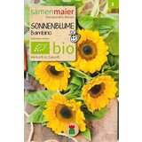 Samen Maier Bio sončnica "Bambino" Cene