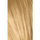 Schwarzkopf Professional IGORA Vibrance demi-permanentna barva za lase odtenek 9,5-5 Gold Toner 60 ml | Shoptok.si