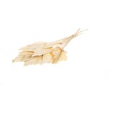 Plant in a Box posušeno cvetje - 10 kos - bouquet 'palmspear bleached white' - šopek, (21758366) | Shoptok.si