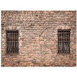  Tapeta - Trapped in reality 250x193 | shoptok.hr