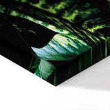  Slika - Dieffenbachia (1 Part) Vertical 60x90 | shoptok.hr